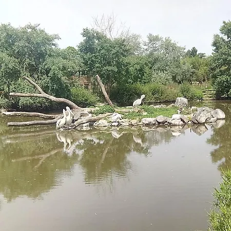 Wellness Boerderij Villa *